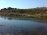 Наша природа