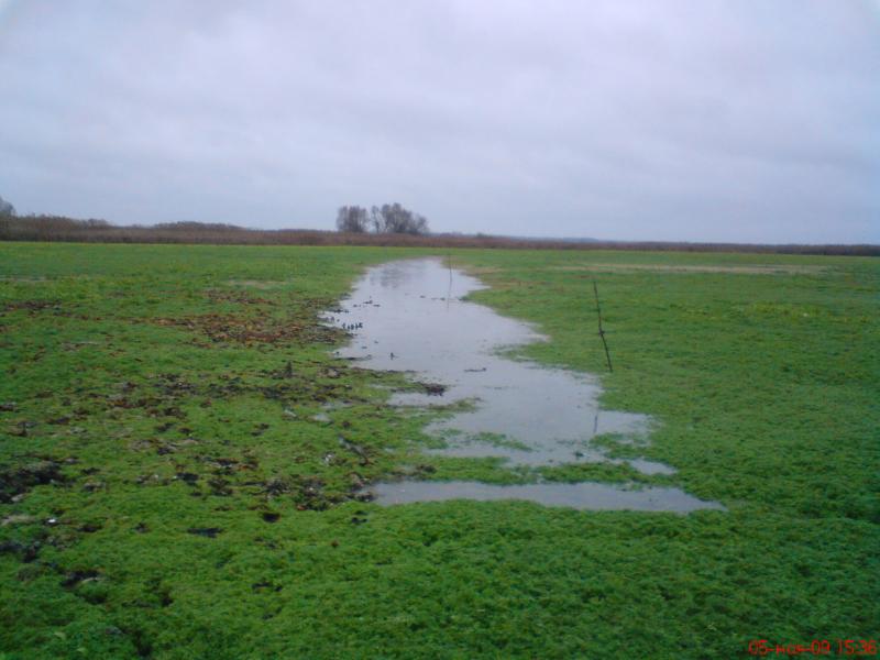 моє село - Великоселецкое