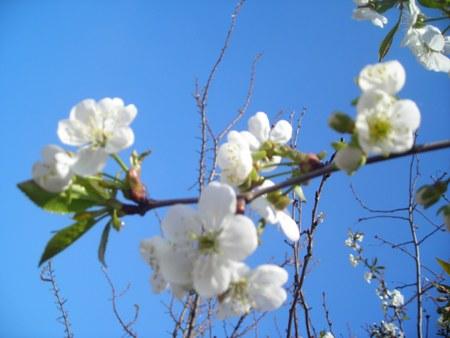 Шубівка - Шубівка