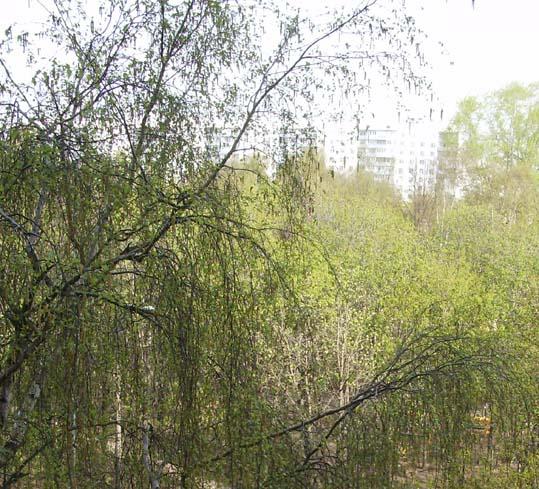 Моя Родина - Новоохтирка