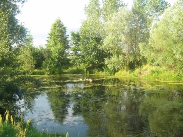 Тинне найкраще село в світі - Тинне