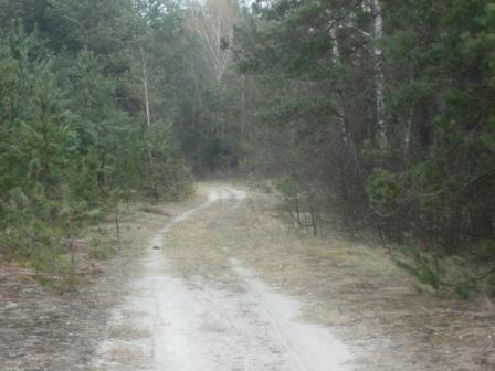 Наше фото - Краска