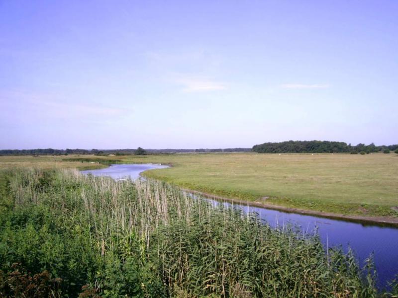 Чорбівські краєвиди - Чорбівка