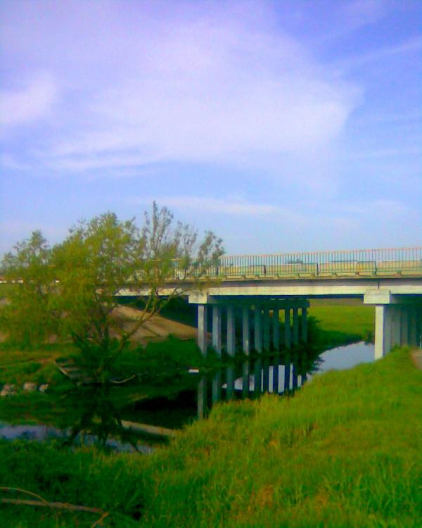 Рідне село - Войниха