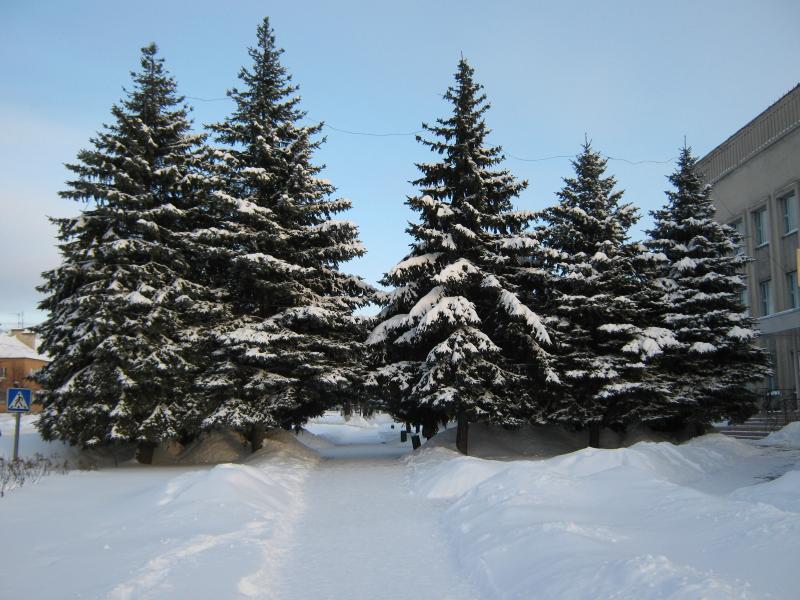 Гайсин - Гайсин