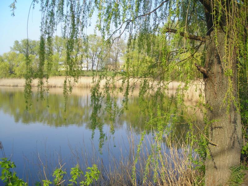 Шубівка - Шубівка