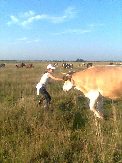  Життя села - Парище