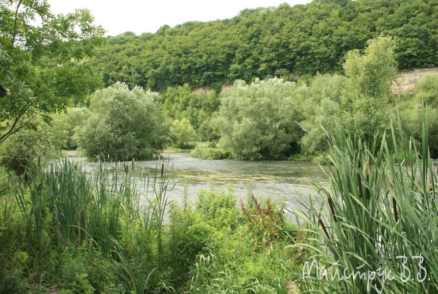 001 - Мала Бережанка