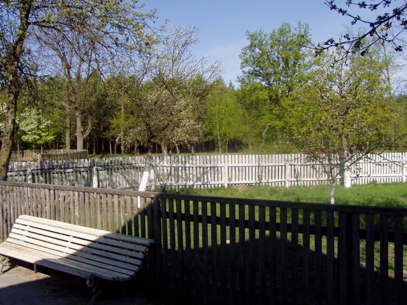 Польське село в Поліссі - Станиславовка