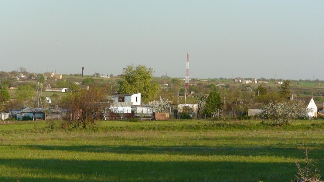 ПАВЛИНКА - Павлинка