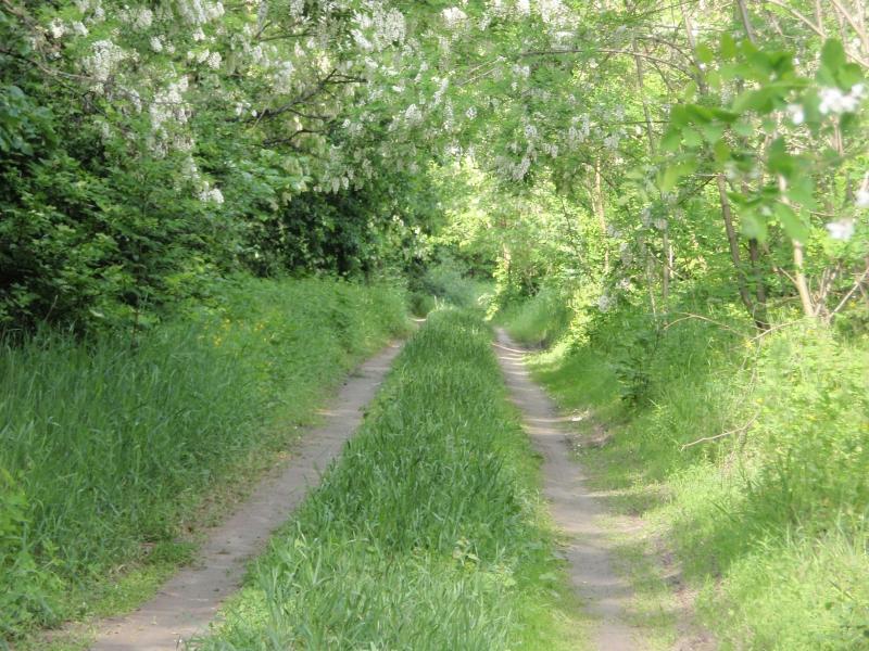 Краєвиди та життя Нової Басані - Нова Басань