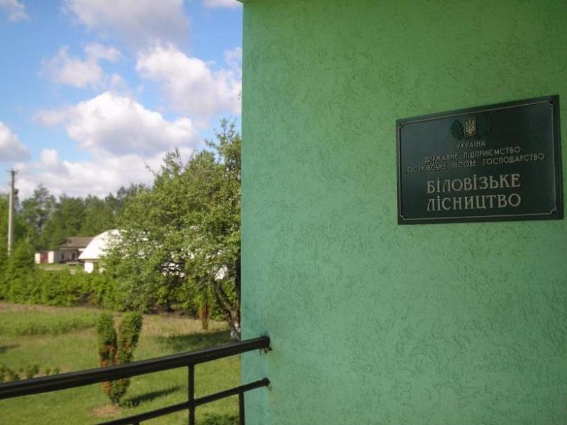 Біловізьке лісництво - Беловеж