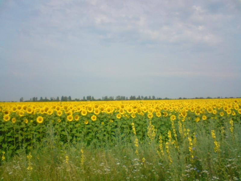 Природа села - Єристівка