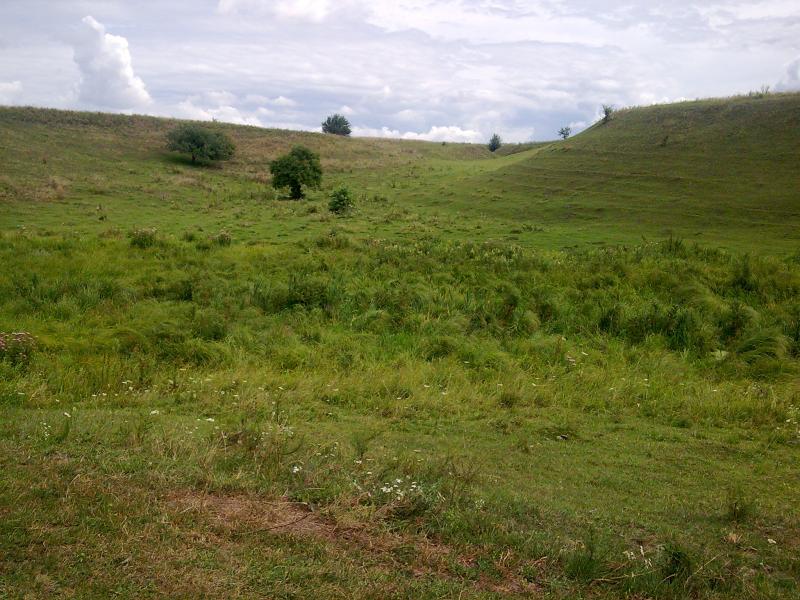 Пейзажі - Калюжинцы