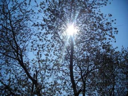 Шубівка - Шубівка