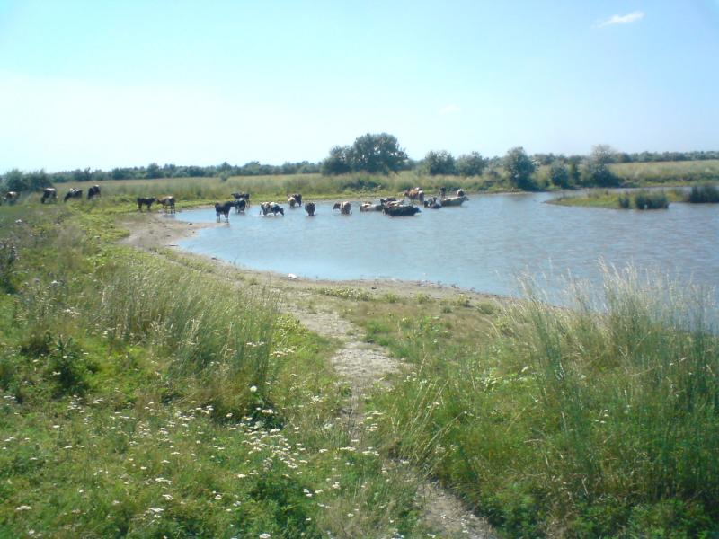 Природа села - Єристівка