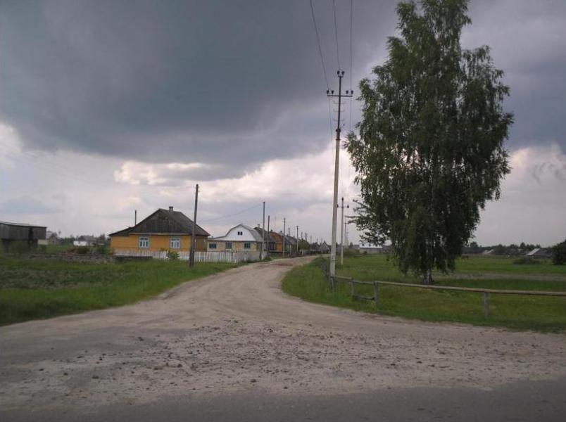 Сновидовичі - Сновидовичі