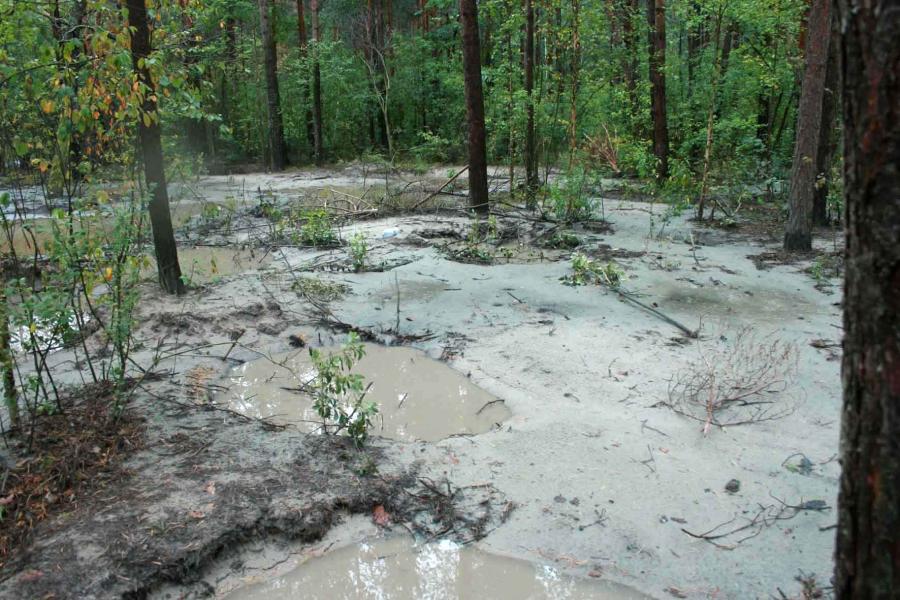 Наслідки добування бурштину - Grytsky