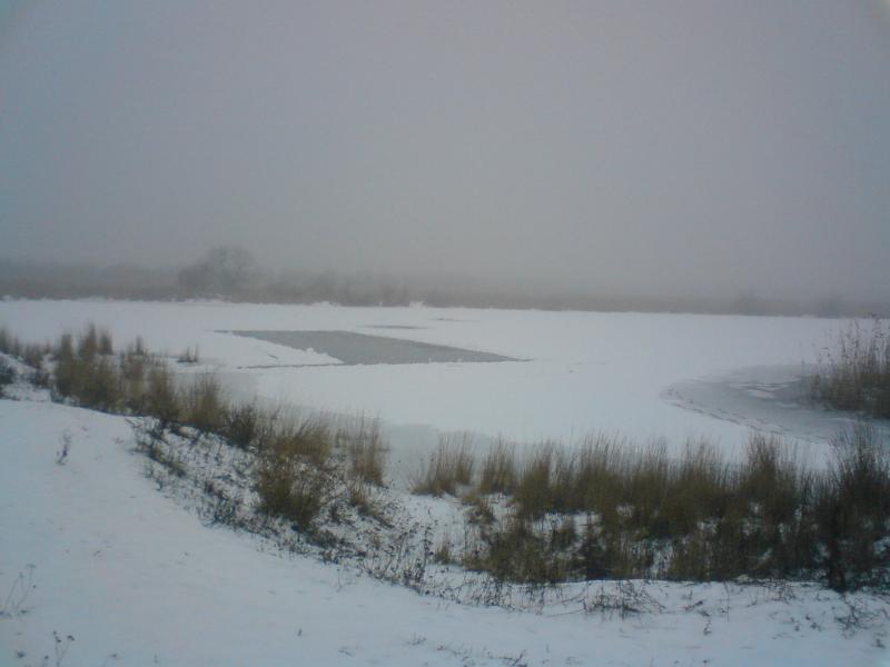 Природа села - Еристовка