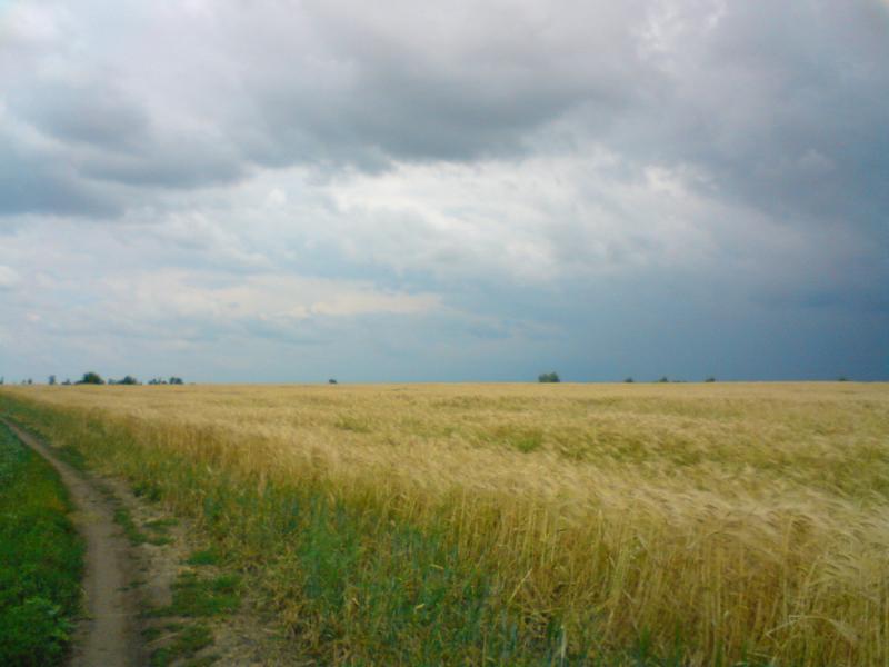 Природа села - Еристовка