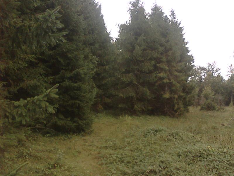 Чудові краєвиди Козаківки - Козаківка