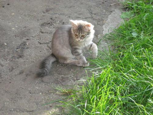 Мальовничі куточки села Бровки - Бровки Перші