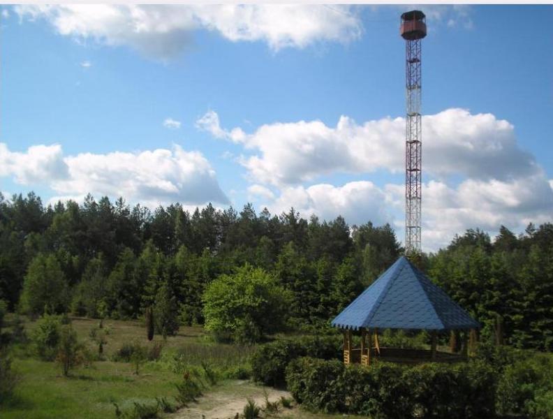 Біловізьке лісництво - Беловеж