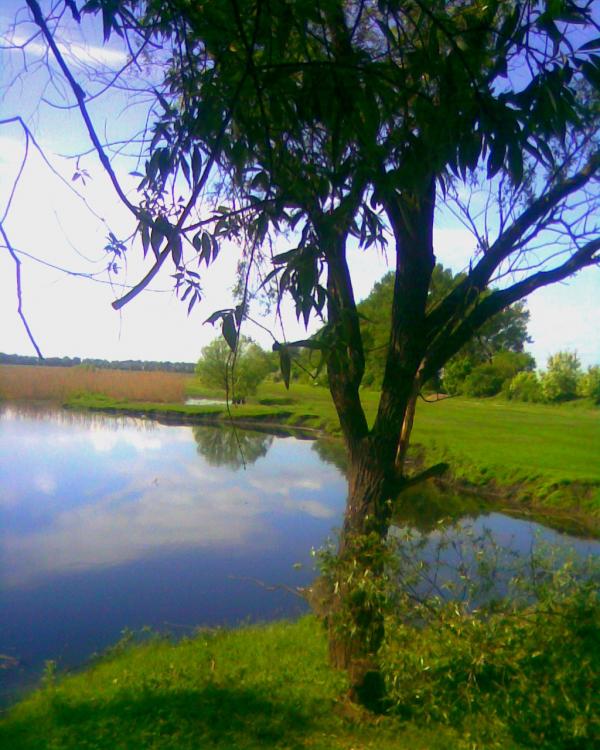 Рідне село - Войниха