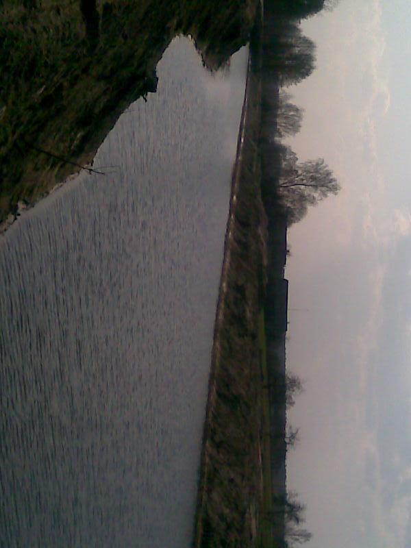 Ставок - Прибинь