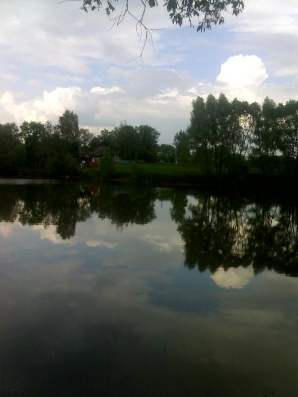 Вигін - Козельне