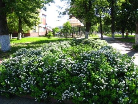 місто Ірпінь - Ірпінь