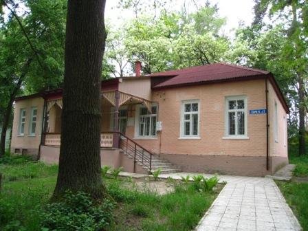 Поїзди гудуть за Ірпінню... - Ірпінь