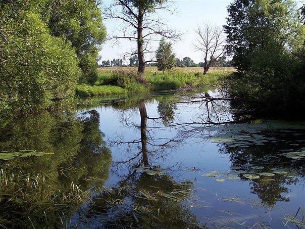 красичка - Красичка