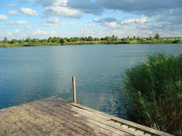 Природа нашого краю - Забелочье