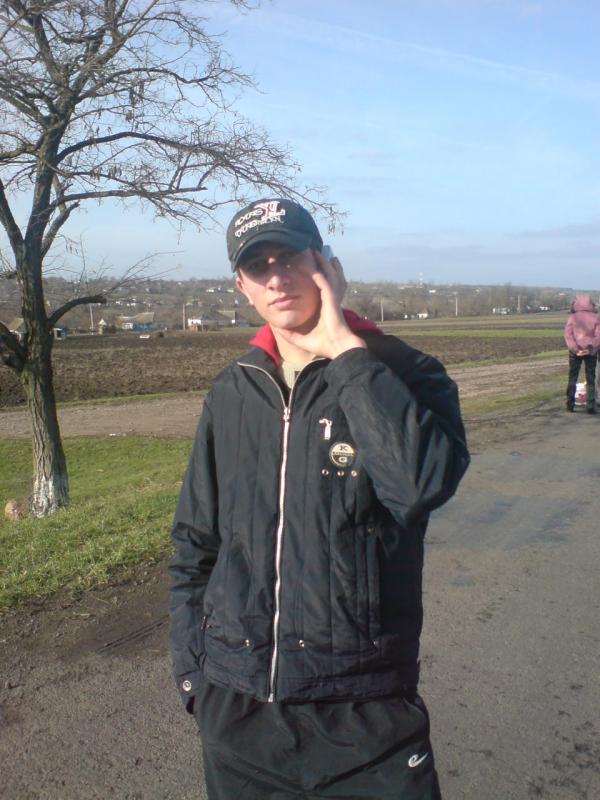 мое село - Воеводское