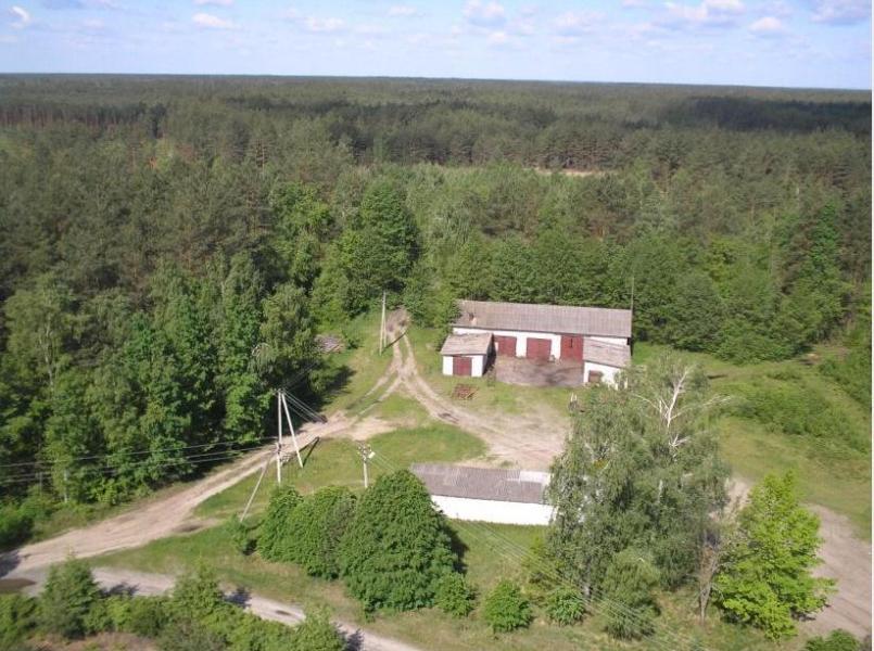 Біловізьке лісництво - Беловеж
