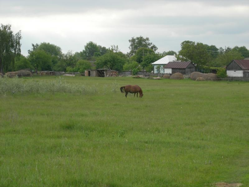 Тарасів - Тарасів