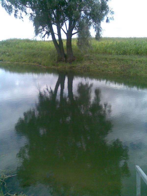 Рідне село - Велика Загорівка