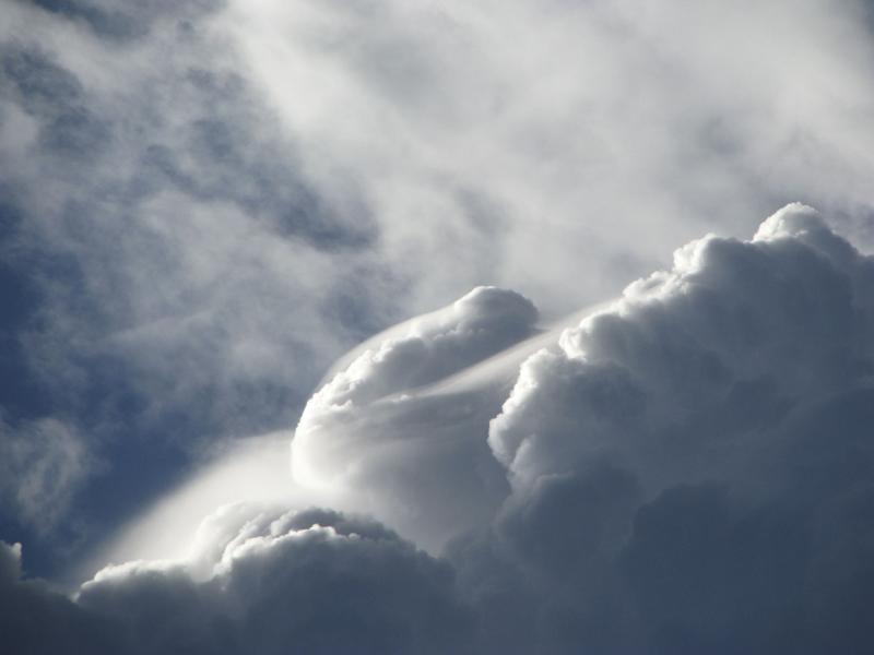 Наша природа - Худяки
