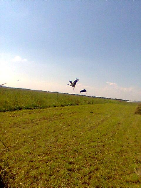  Життя села - Парище