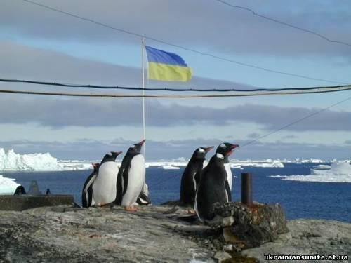 Символіка - Несвіч