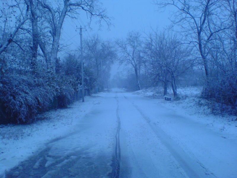 Природа села - Еристовка