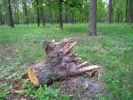 Поїзди гудуть за Ірпінню... - Ірпінь