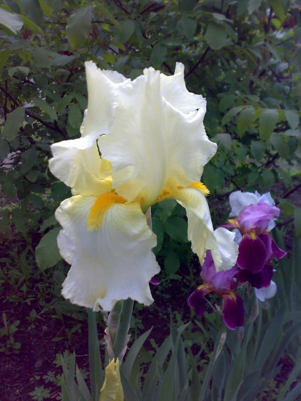 Мальовничі куточки села Бровки - Бровки Перші