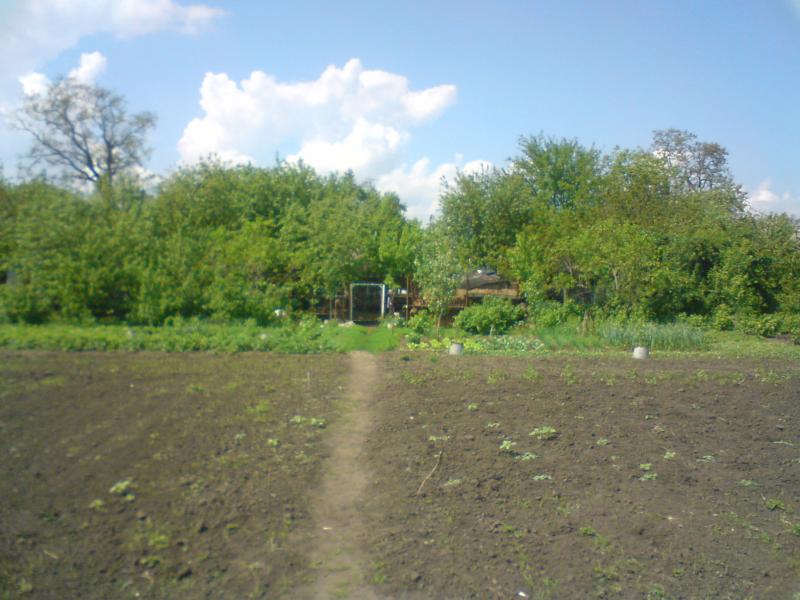 Природа села - Еристовка