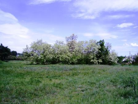 Чорбівські краєвиди - Чорбівка