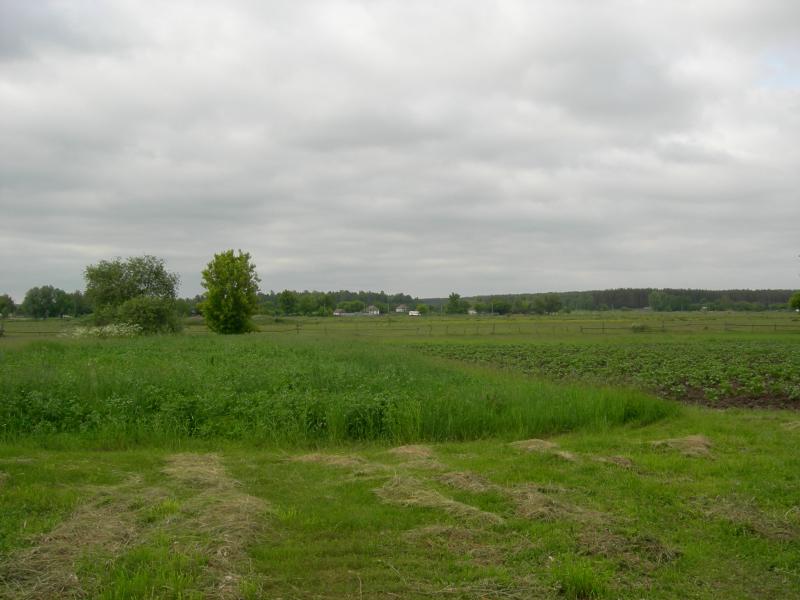 Тарасів - Тарасів