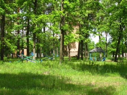 Поїзди гудуть за Ірпінню... - Ірпінь
