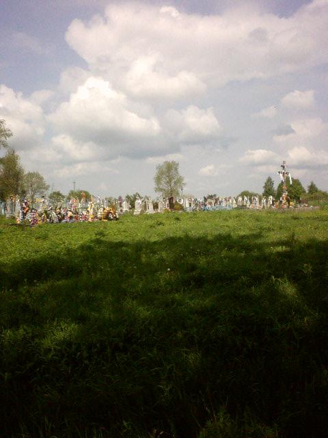 Вітоніж1 - Вітоніж