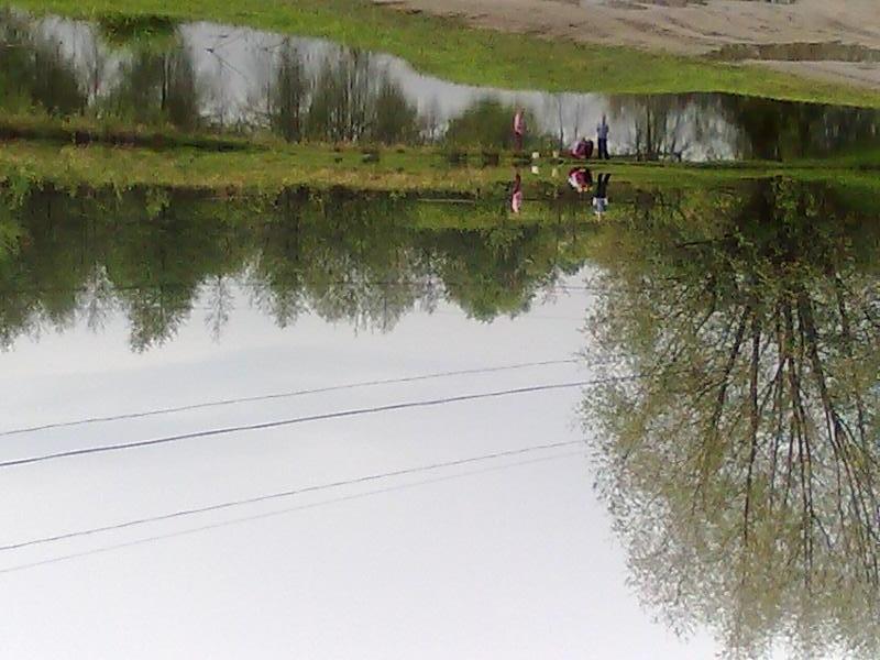 Полапи - Полапи